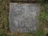 image of grave number 341681